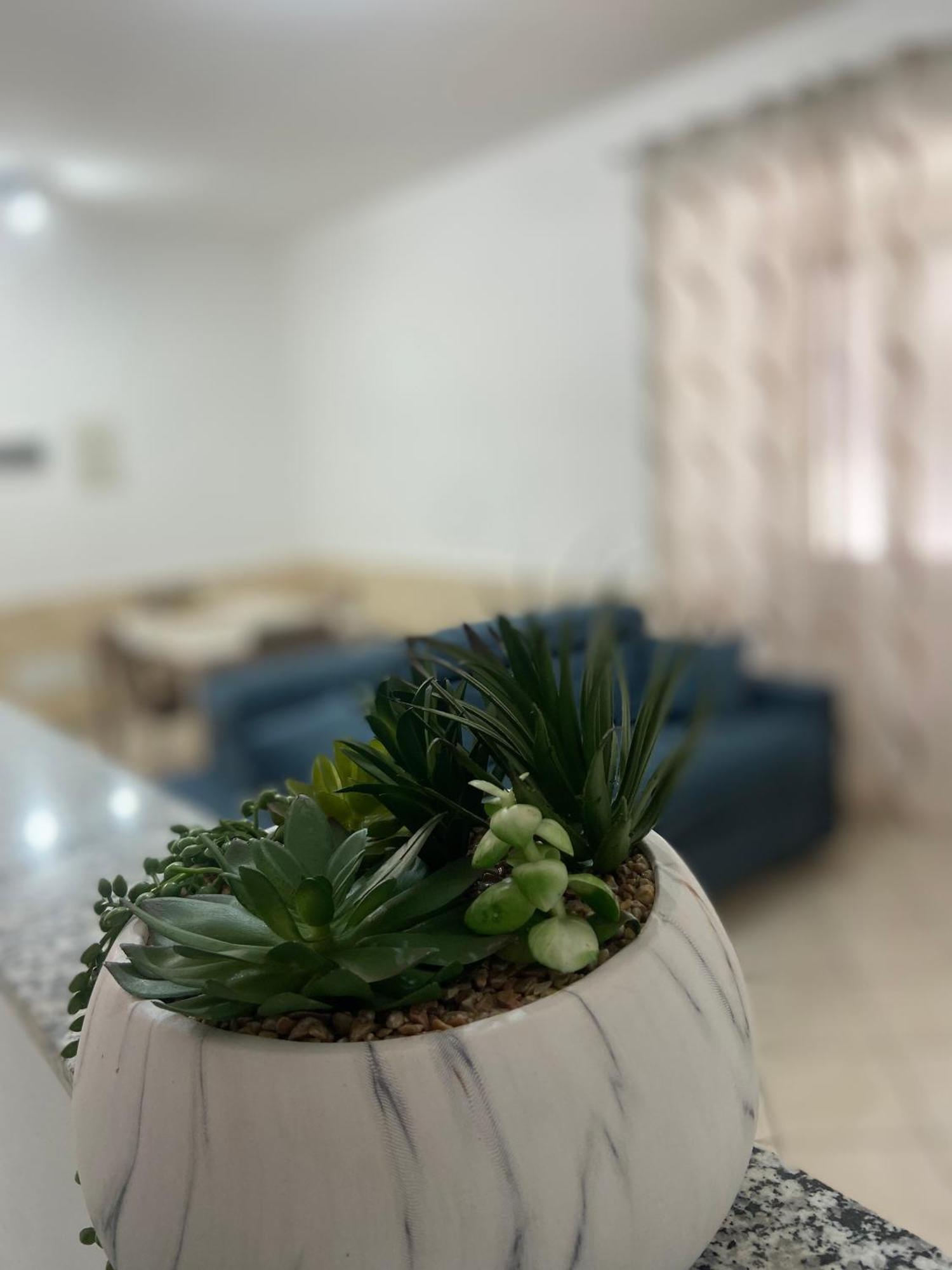 卡塔尼亚La Casa Di Noah别墅 外观 照片